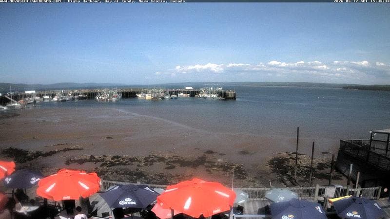 Digby Harbour