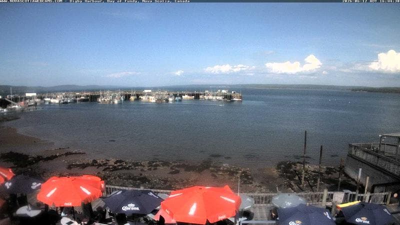 Digby Harbour