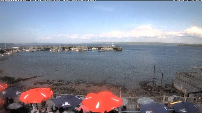 Digby Harbour