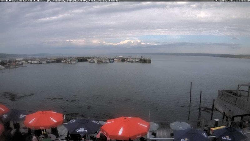 Digby Harbour