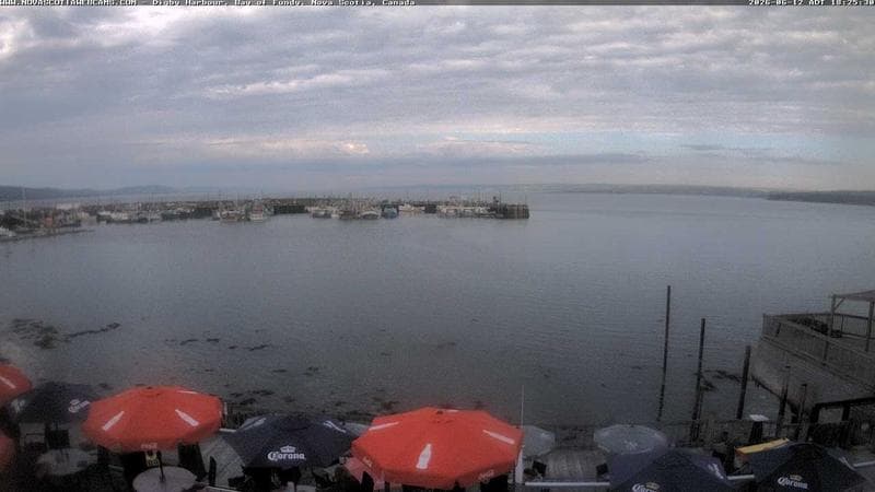 Digby Harbour