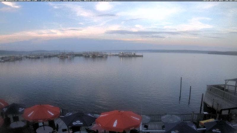 Digby Harbour