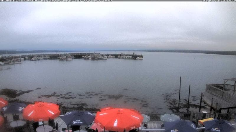 Digby Harbour