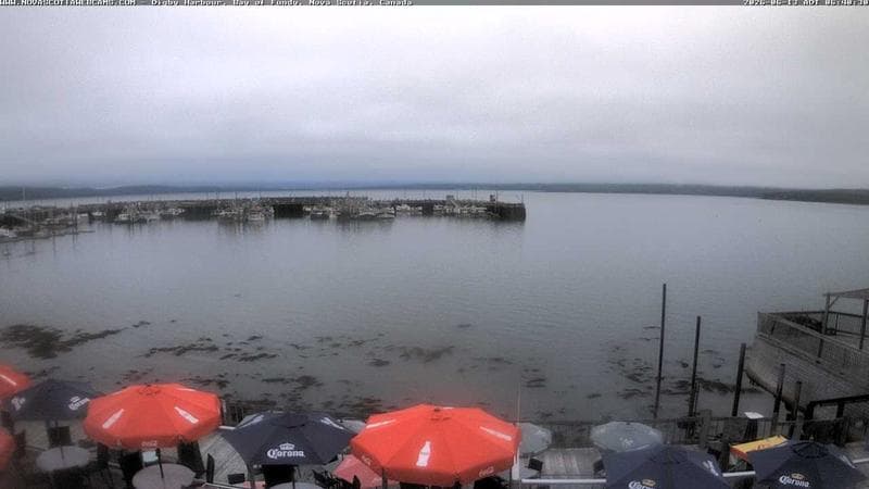 Digby Harbour