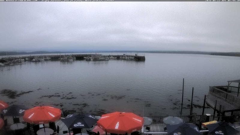 Digby Harbour