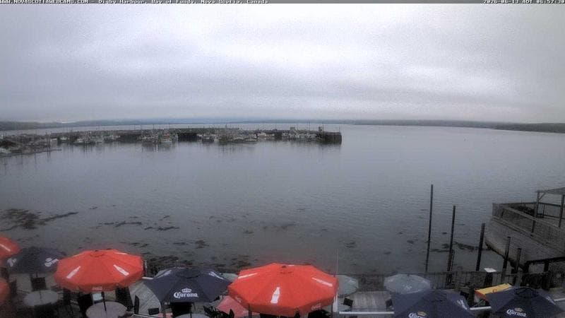 Digby Harbour