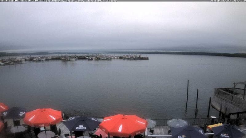Digby Harbour