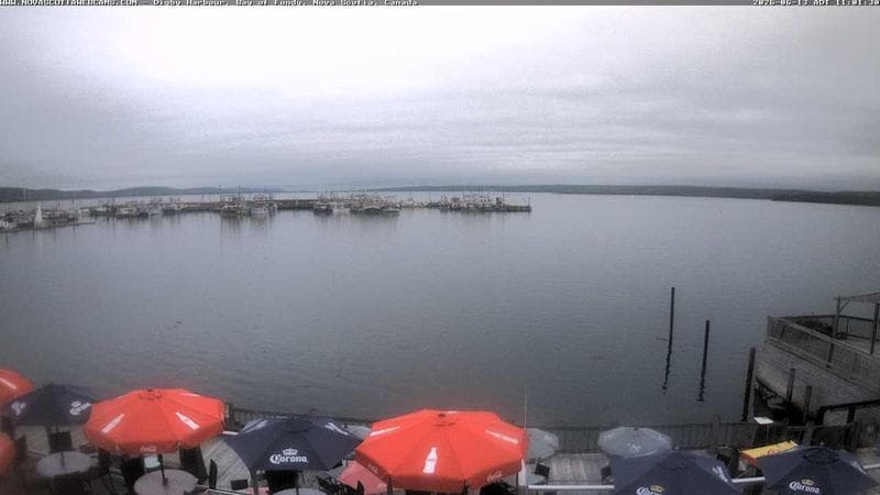 Digby Harbour