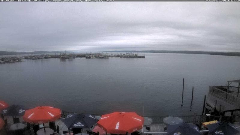 Digby Harbour