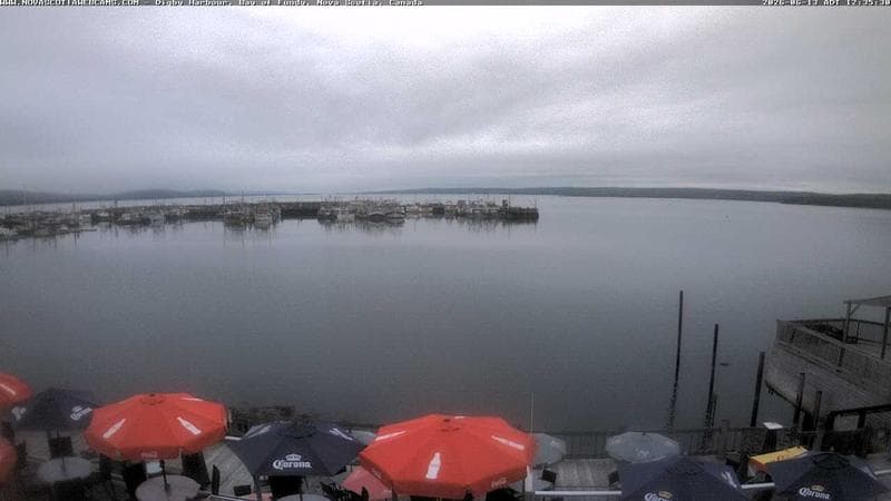 Digby Harbour