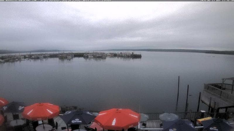 Digby Harbour
