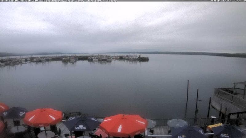 Digby Harbour