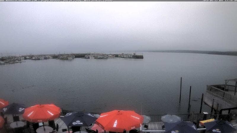Digby Harbour