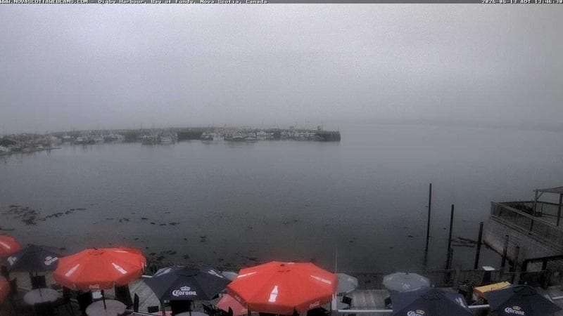 Digby Harbour