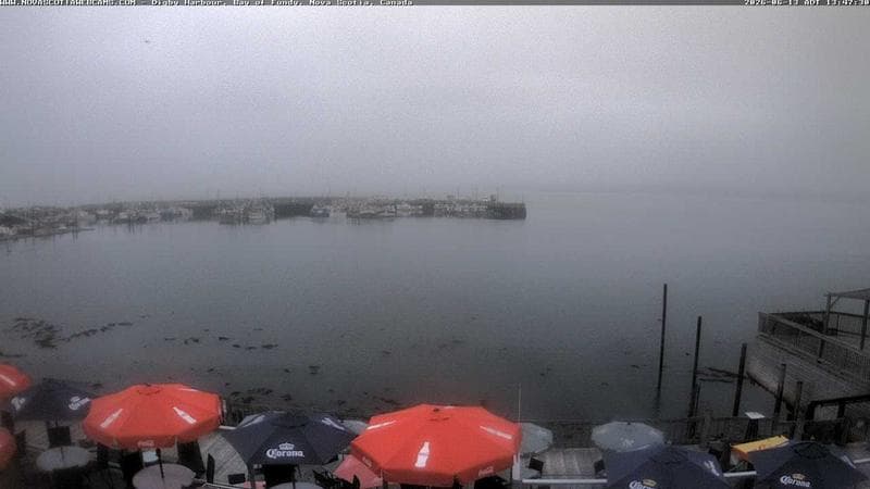 Digby Harbour