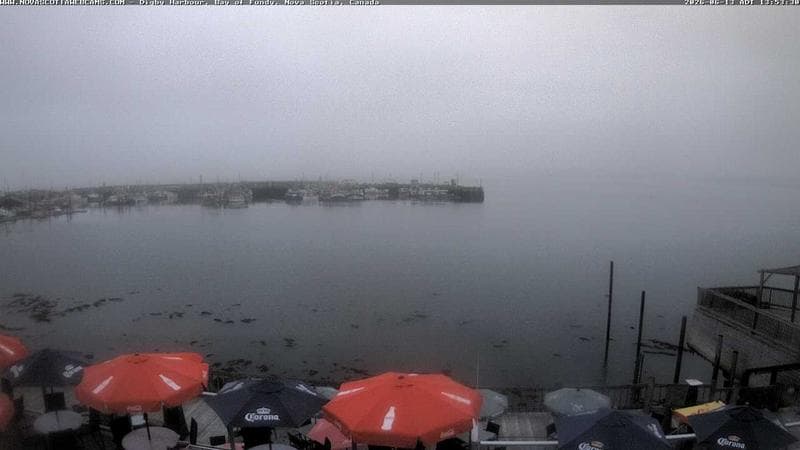 Digby Harbour