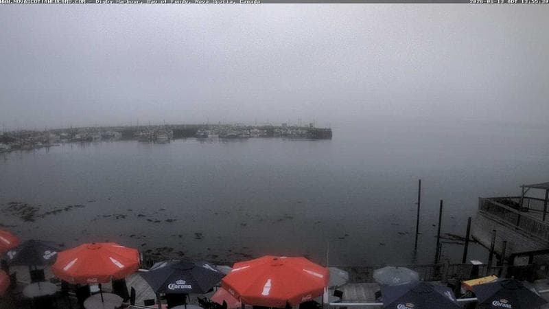 Digby Harbour