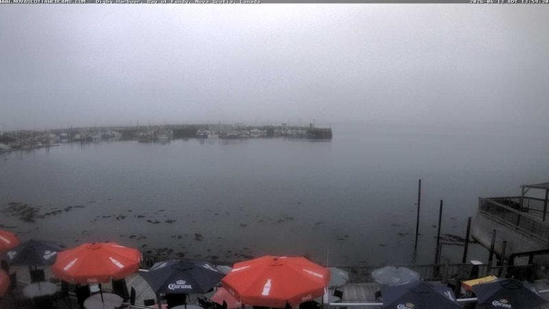 Digby Harbour