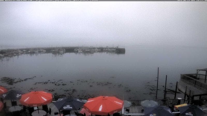Digby Harbour