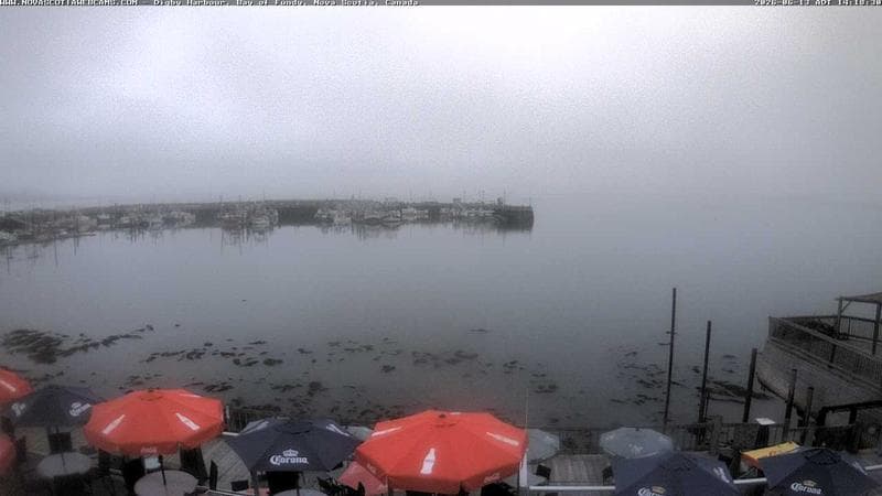Digby Harbour