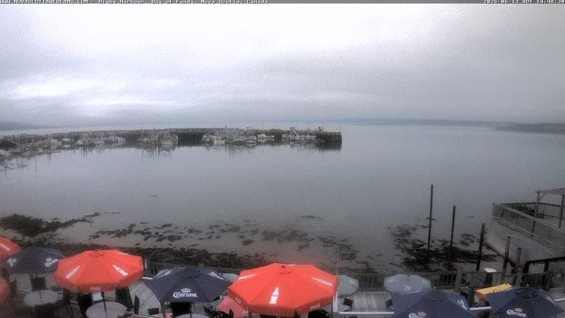 Digby Harbour