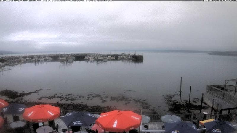 Digby Harbour