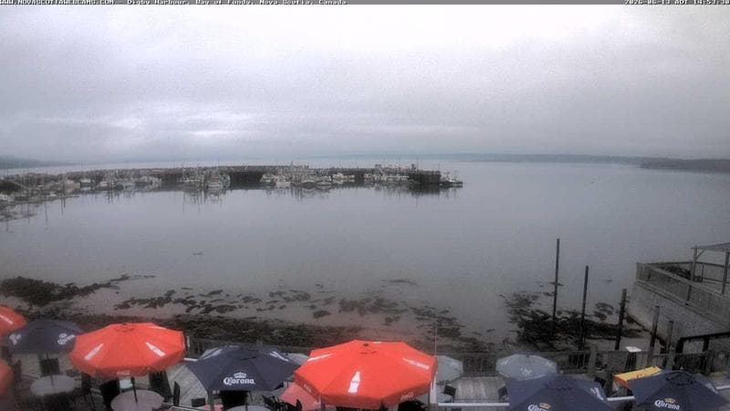 Digby Harbour