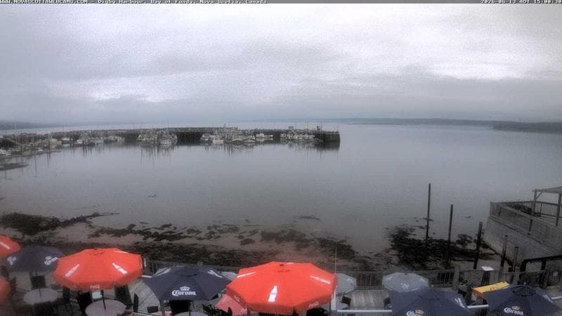 Digby Harbour