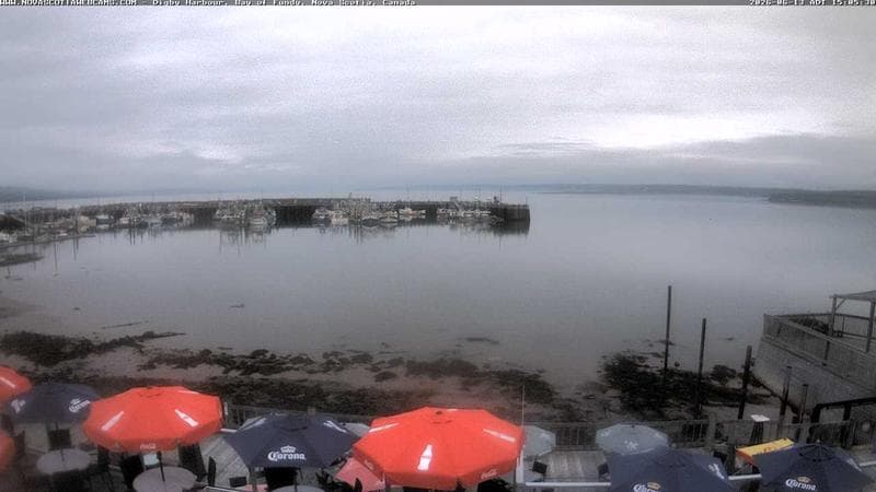 Digby Harbour