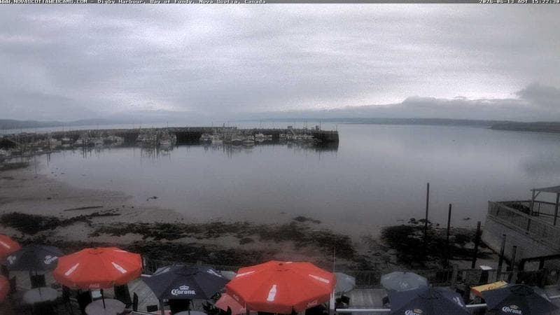 Digby Harbour