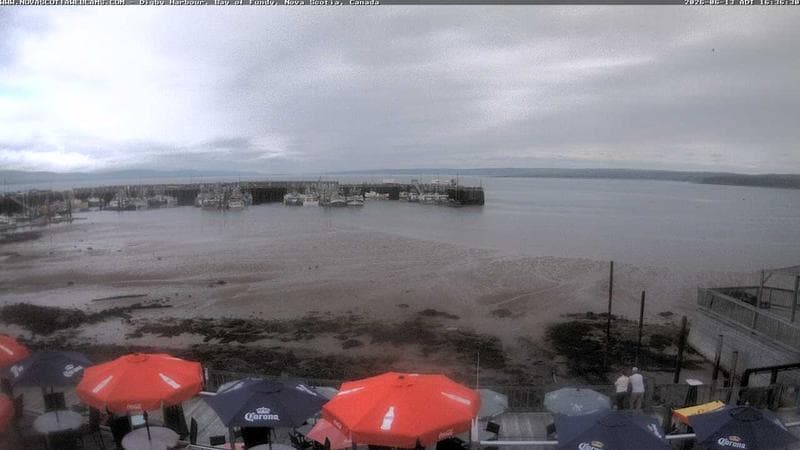 Digby Harbour