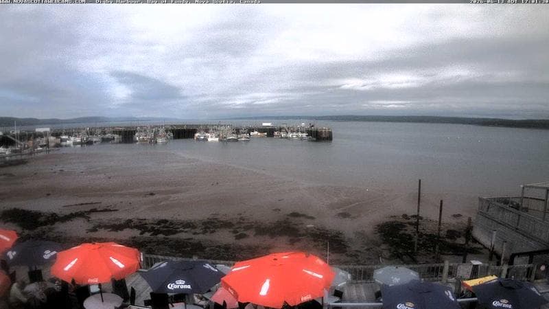 Digby Harbour
