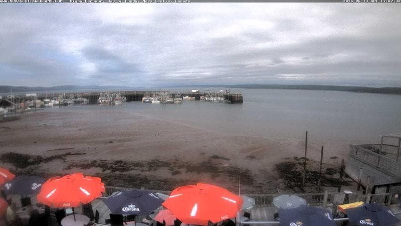 Digby Harbour