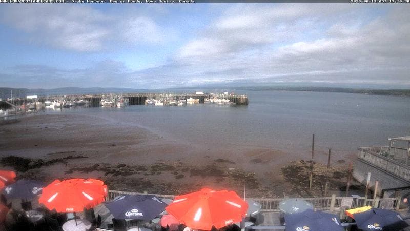Digby Harbour