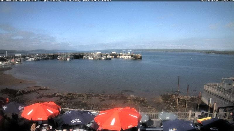 Digby Harbour