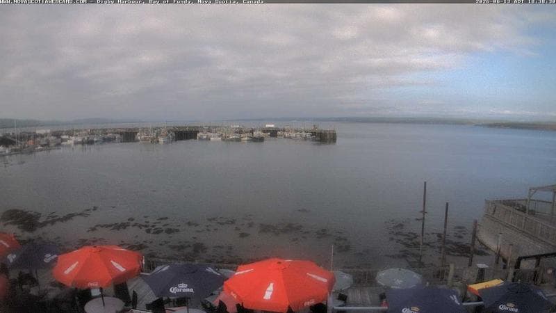 Digby Harbour