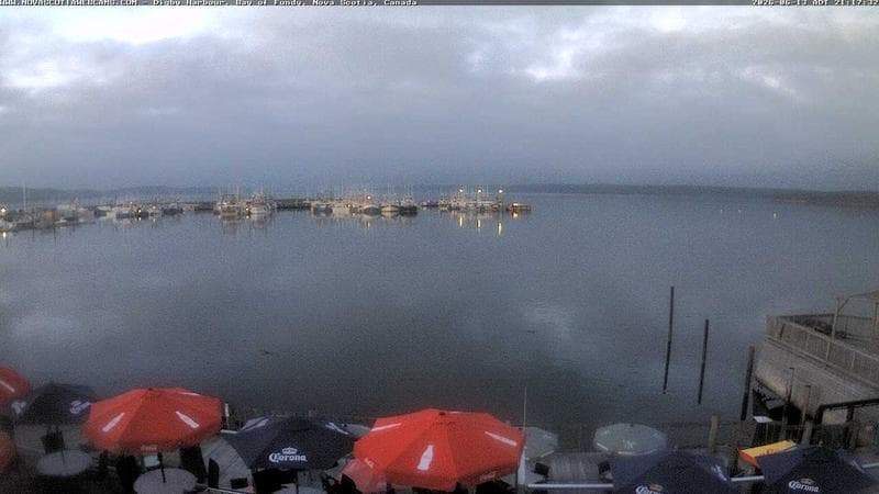 Digby Harbour