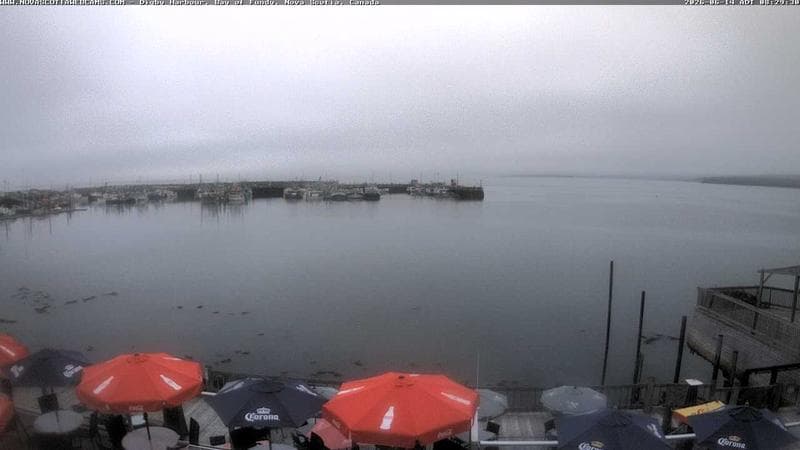 Digby Harbour