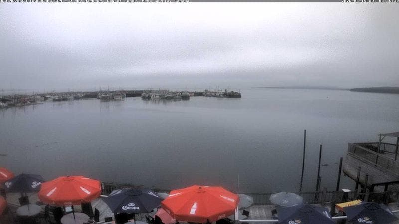 Digby Harbour
