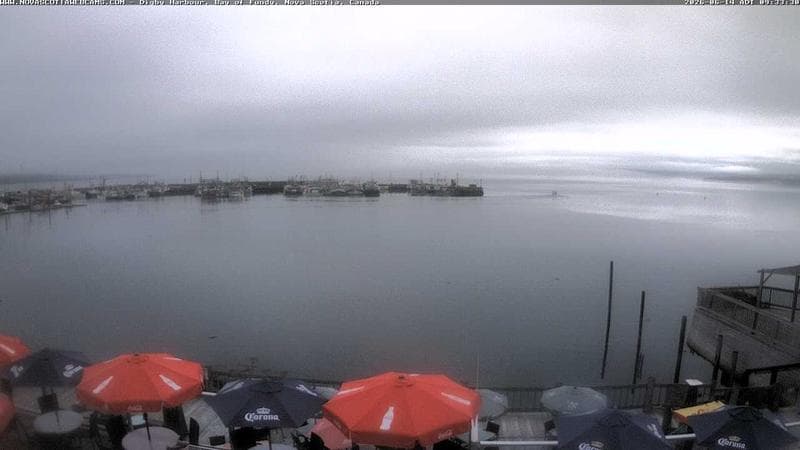 Digby Harbour