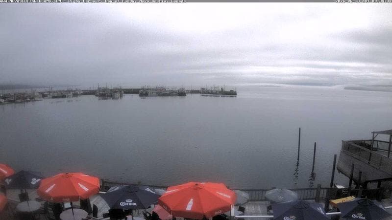 Digby Harbour