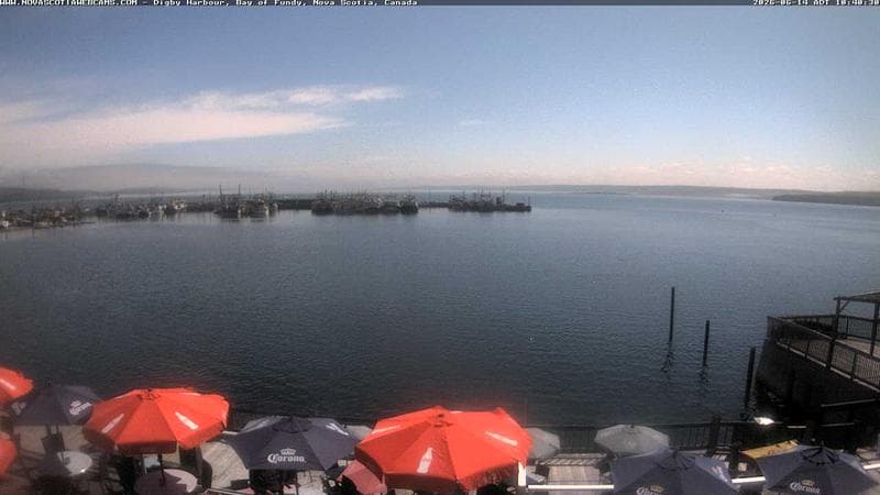 Digby Harbour