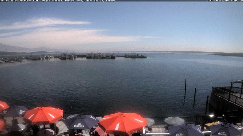 Digby Harbour