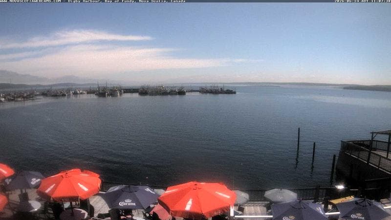 Digby Harbour