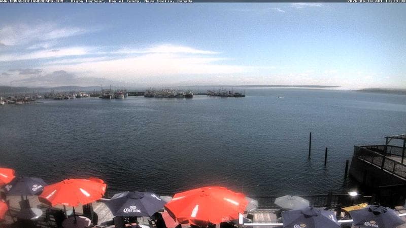 Digby Harbour