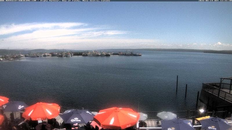 Digby Harbour