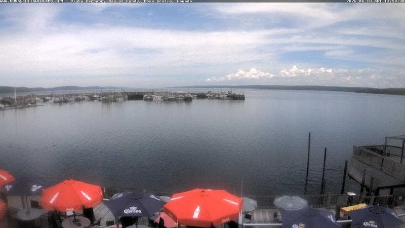 Digby Harbour