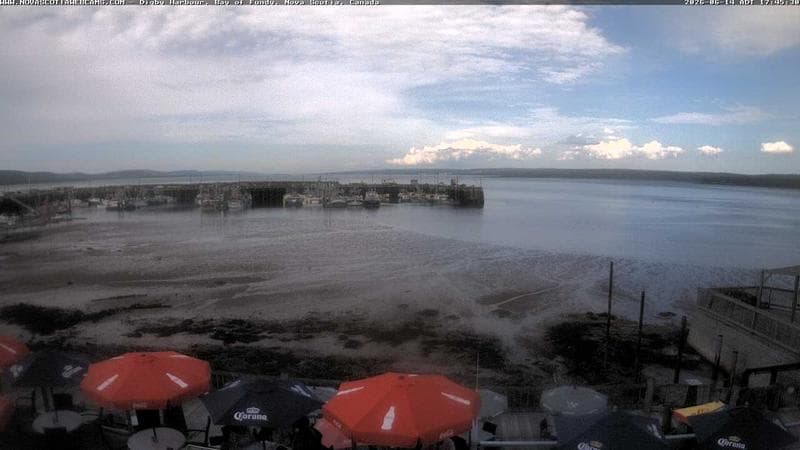 Digby Harbour