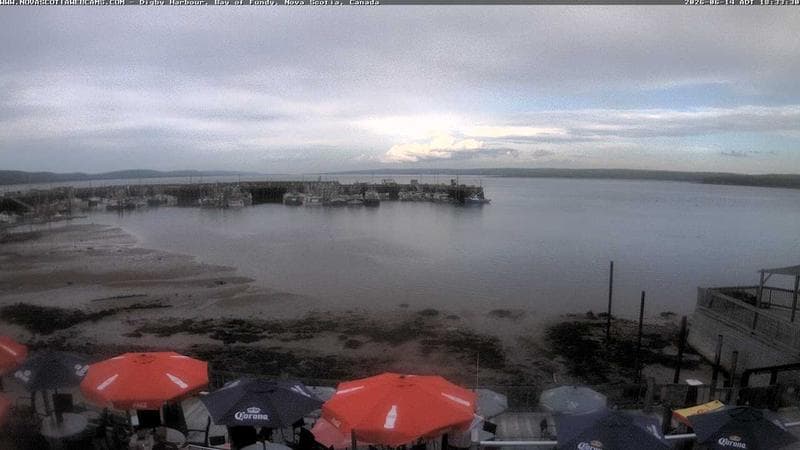 Digby Harbour
