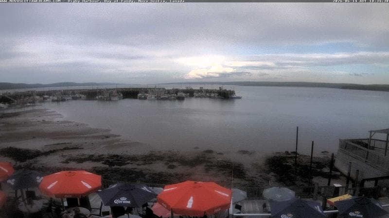 Digby Harbour